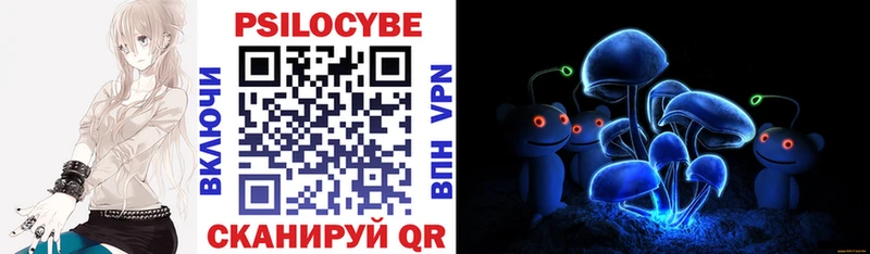 Псилоцибиновые грибы Psilocybe  Сафоново 